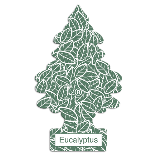 Eucalyptus-ユーカリ-
