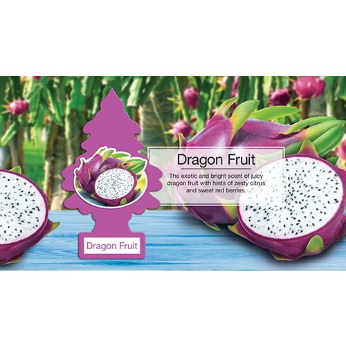 Dragon Fruit - ドラゴン・フルーツ -