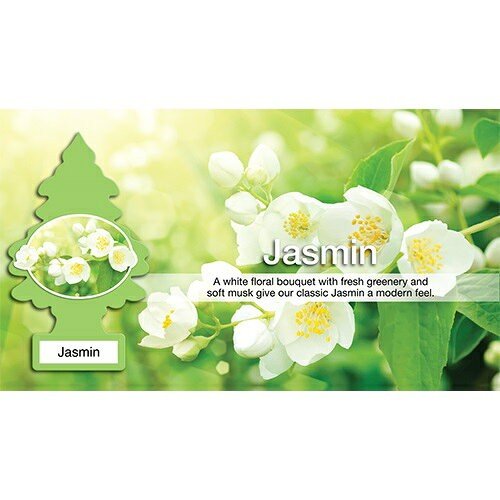 Jasmin - ジャスミン -